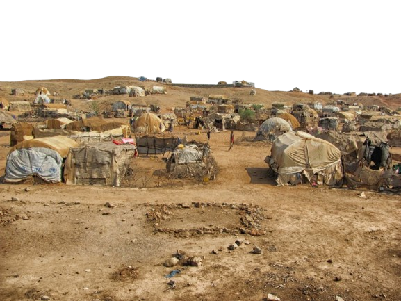 Disaster & Crisis Mitigation